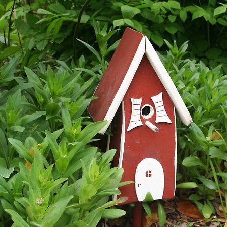 Wohnung-Schwalbennest Süderende Zewnętrze zdjęcie